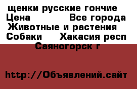 щенки русские гончие › Цена ­ 4 000 - Все города Животные и растения » Собаки   . Хакасия респ.,Саяногорск г.